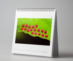 Calendar Printing